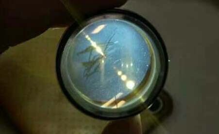 图十:被污染了的镜片 图十:被污染了的镜片