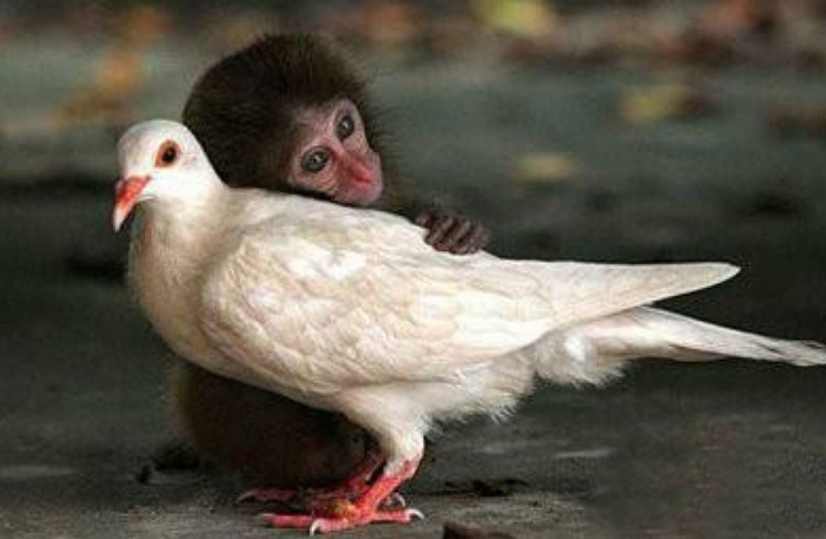 触动内心的这十三个瞬间